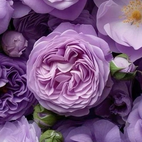 Наталья, 18 декабря 2025