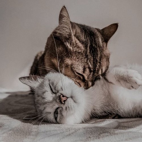 Анастасия, 12 ноября 2025