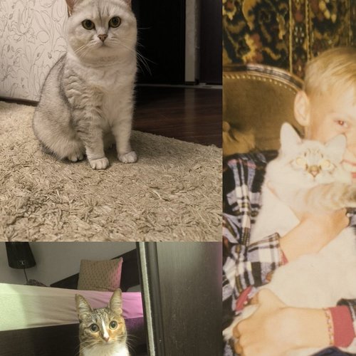 Артем, 19 сентября 2025