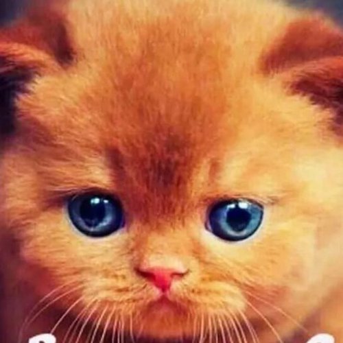 Марина, 1 сентября 2025