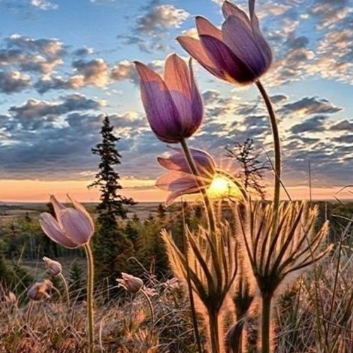 Светлана, 30 января 2026