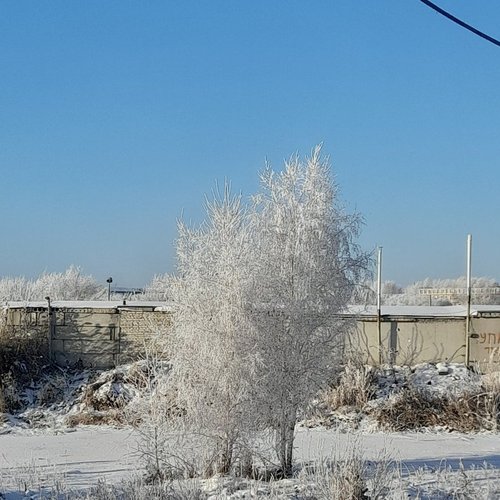 Анжела, 8 февраля 2023