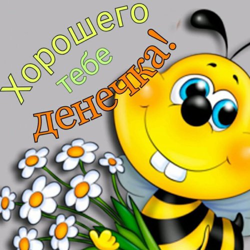 Индира, 6 августа 2022