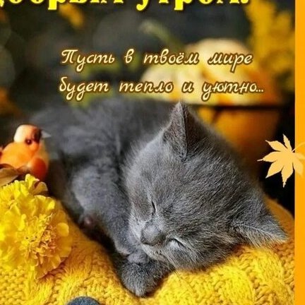 Юлия, 28 октября 2025