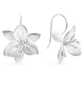 серебряные серьги